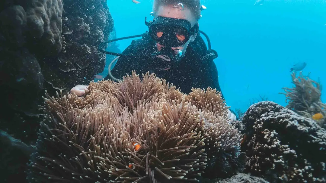 Alex beim Tauchen in Australien